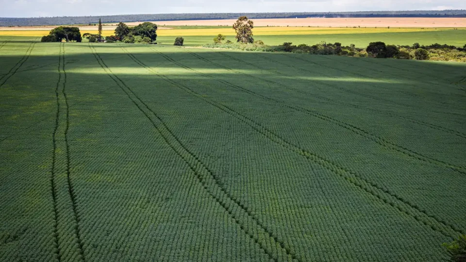 Em menos de quatro décadas, área destinada à soja cresce nove vezes