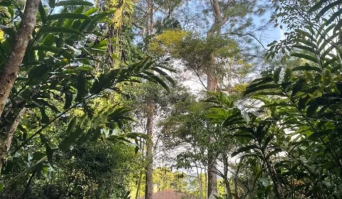 Prefeitura desapropria fazenda ocupada por família do médico que dá nome a Miguel Pereira