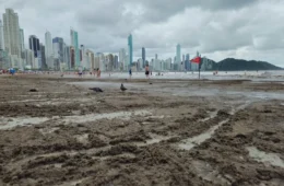 Poluição nas praias de Balneário Camboriú, cidade bolsonarista, gera debate nas redes