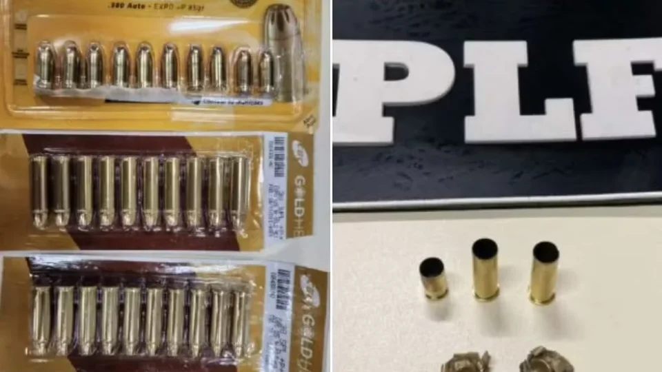 Homem tenta entrar na Câmara com munição de arma de fogo e é preso