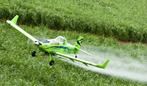 Governador do Ceará, coautor de lei que proibiu agrotóxicos jogados por avião, agora defende pulverização por drone