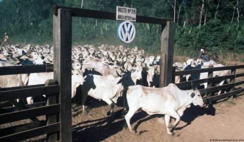 Volkswagen manteve por 12 anos fazenda com trabalho escravo financiada pela ditadura
