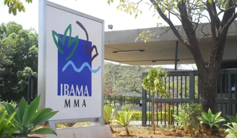 Ibama abre inscrições para concurso com 460 vagas e salário de até R$ 9,9 mil
