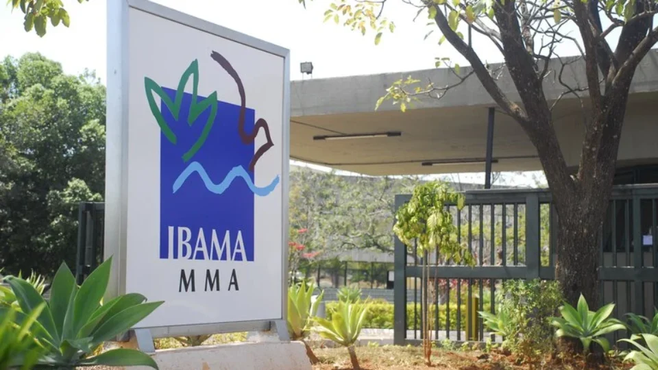 Ibama abre inscrições para concurso com 460 vagas e salário de até R$ 9,9 mil