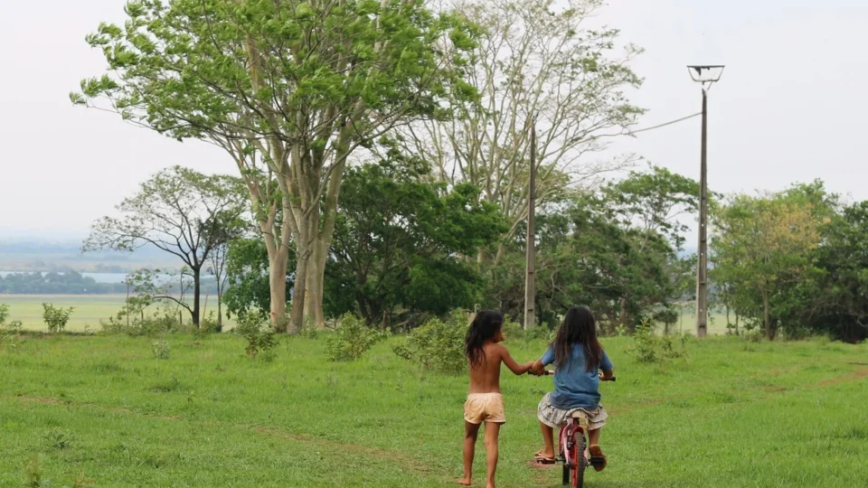 Ataques a indígenas Avá-Guarani vitimizam até crianças no Paraná