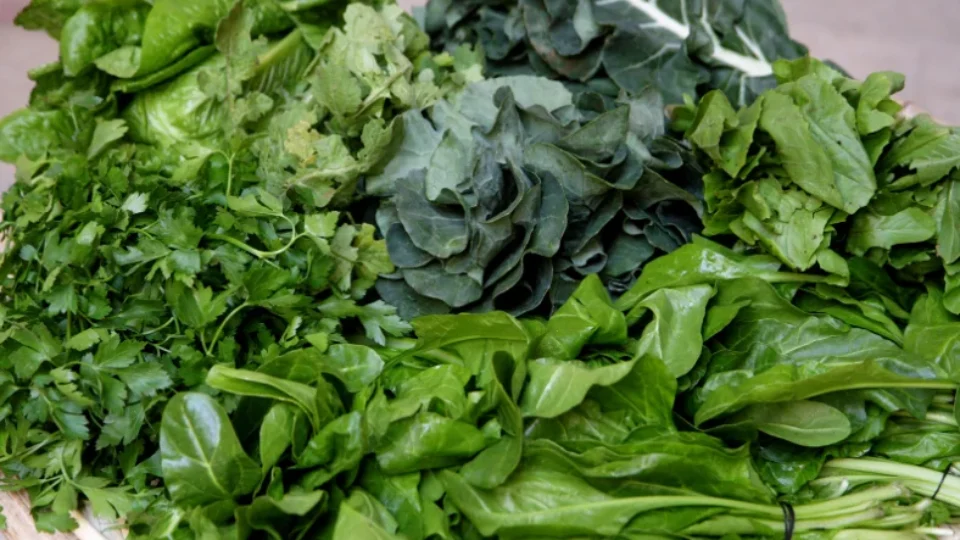 Conheça seis tipos de alimentos que contribuem para a saúde do cérebro