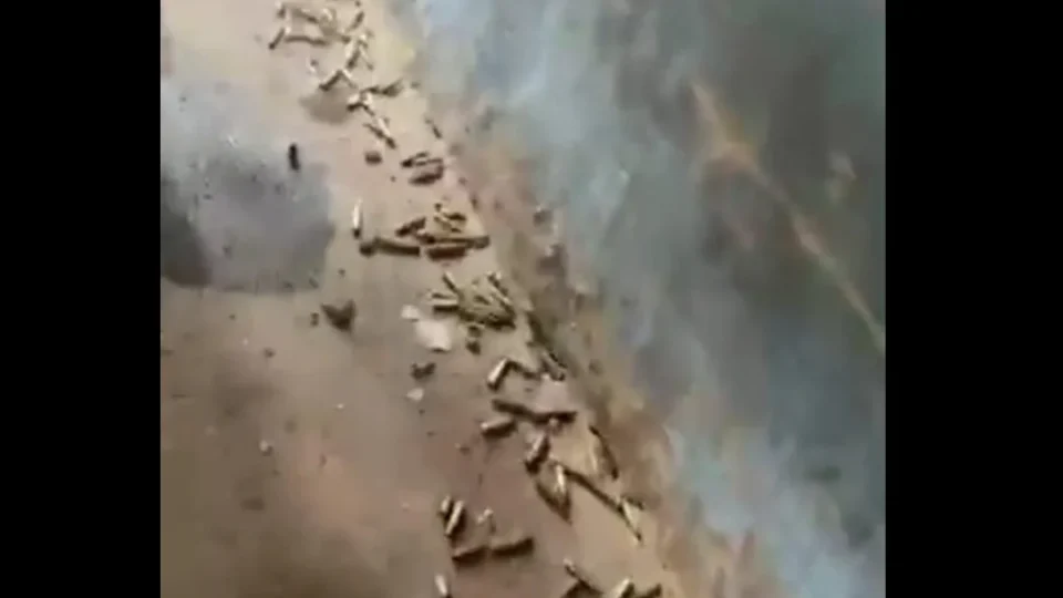 SEXTA-FEIRA DE TERROR