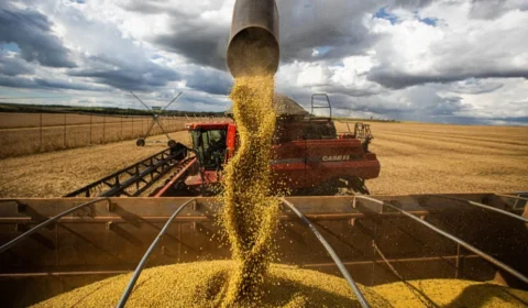 Tarifas ainda pesam, mas exportações do agronegócio crescem 1,7% até novembro