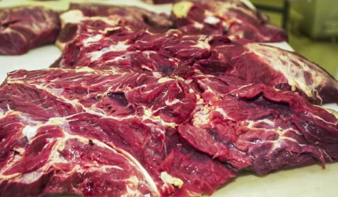 Saiba como diferenciar carne boa da estragada