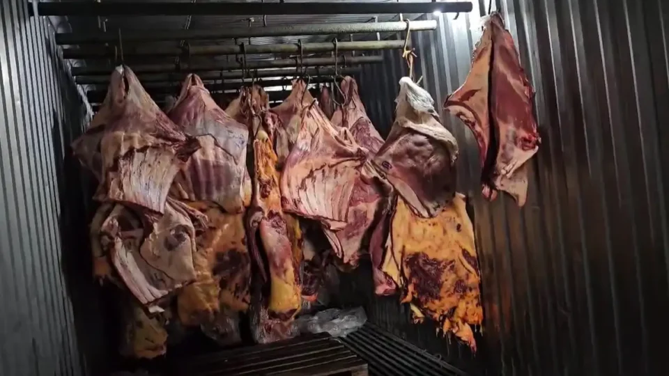 Setor de carnes teme perda de até US$ 2 bilhões com restrições da União Europeia