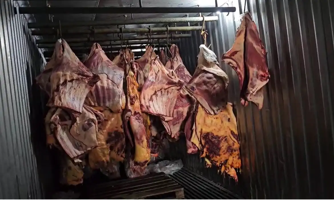 carnes