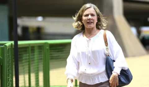 Gleisi Hoffmann diz que Gusttavo Lima mente para ‘impulsionar candidatura’