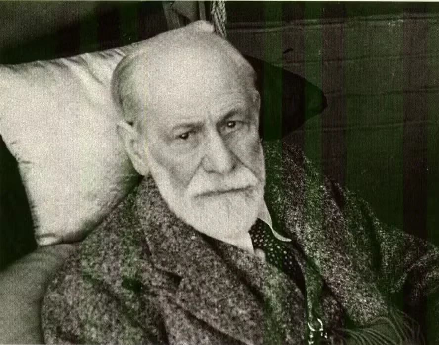 Freud em seu último ano de vida sigmund freud