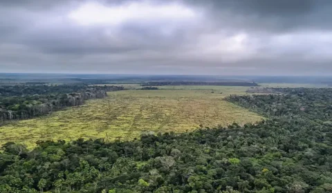 Deputados de MT aprovam lei que pode gerar desmatamento de 5 milhões de hectares