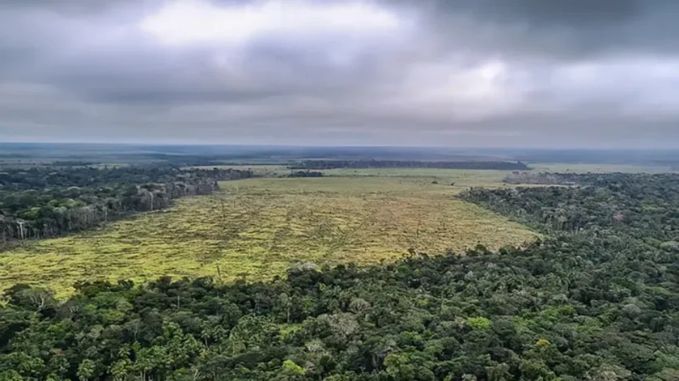 Deputados de MT aprovam lei que pode gerar desmatamento de 5 milhões de hectares