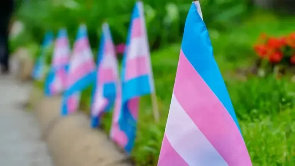 Processo Transexualizador no SUS segue restrito e sob ataque