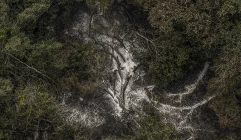 AGU cobra R$ 725 milhões de acusados por danos ambientais no Pantanal