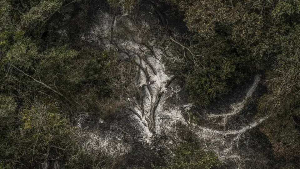 AGU cobra R$ 725 milhões de acusados por danos ambientais no Pantanal
