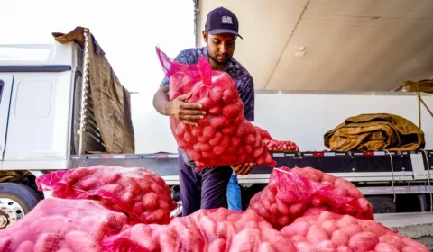 Conab aponta queda de preço da batata e alta da cebola e do tomate