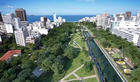 Ex-vereadora vai à Justiça contra o corte de 130 árvores na Zona Sul do Rio
