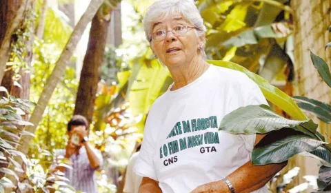 20 anos após morte de Dorothy Stang, PDSs da Amazônia perderam mais de 20% de floresta