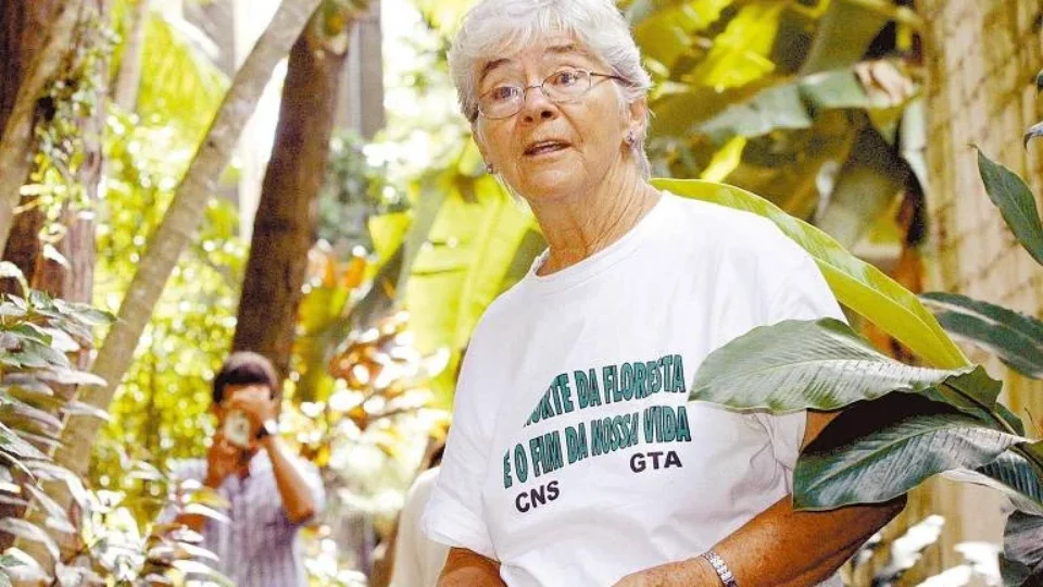 20 anos após morte de Dorothy Stang, PDSs da Amazônia perderam mais de 20% de floresta