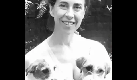 Cães do filme ‘Ainda estou aqui’ são premiados no ‘Oscar dos cachorros’, na Inglaterra