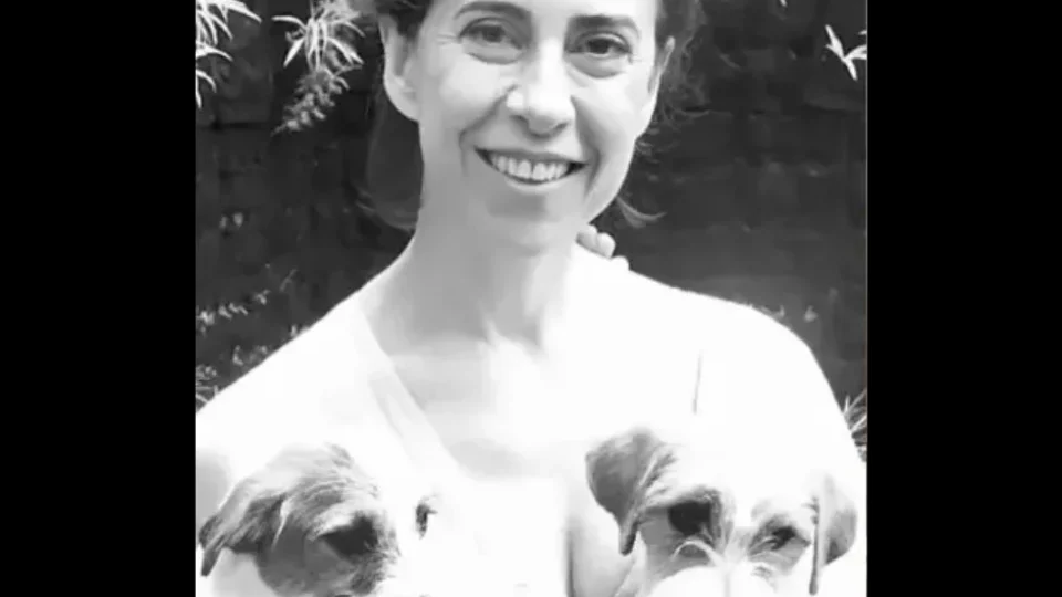 Cães do filme ‘Ainda estou aqui’ são premiados no ‘Oscar dos cachorros’, na Inglaterra