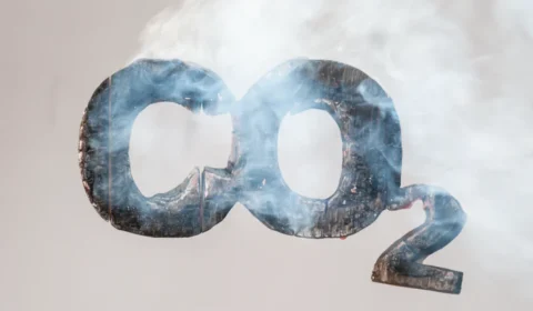 Fazenda quer criar agência reguladora para futuro mercado de carbono