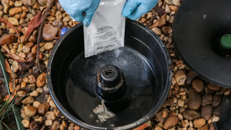 Controladoria de SP apura se armadilhas da prefeitura levaram ao aumento da dengue