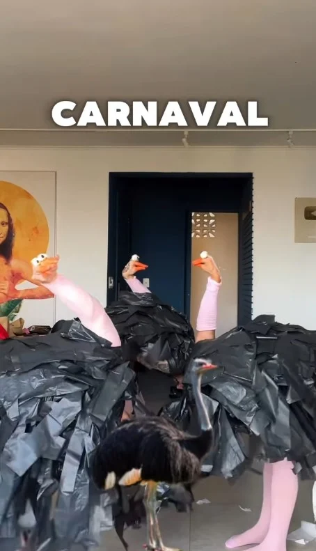 fantasia de avestruz carnaval 