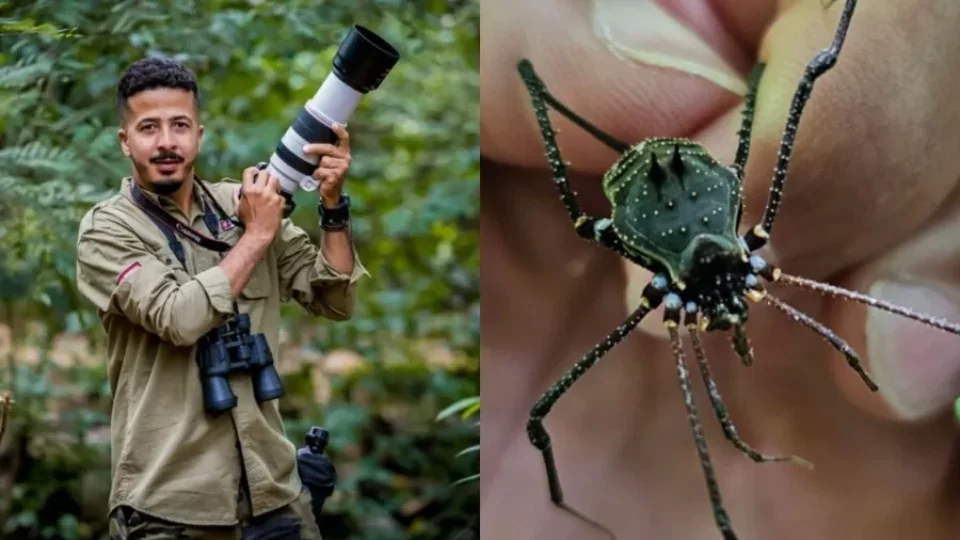 Fotógrafo descobre aracnídeo em MG e nova espécie é batizada com seu nome