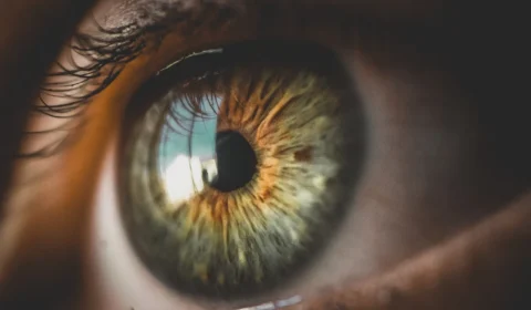 Rede World suspende cadastro de biometria da íris em troca de criptomoedas no Brasil