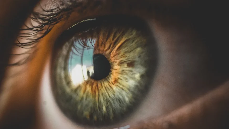 Rede World suspende cadastro de biometria da íris em troca de criptomoedas no Brasil