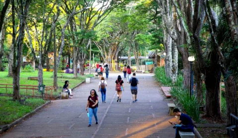 Inscrições para segundo semestre do Prouni começam nesta segunda (30); veja regras