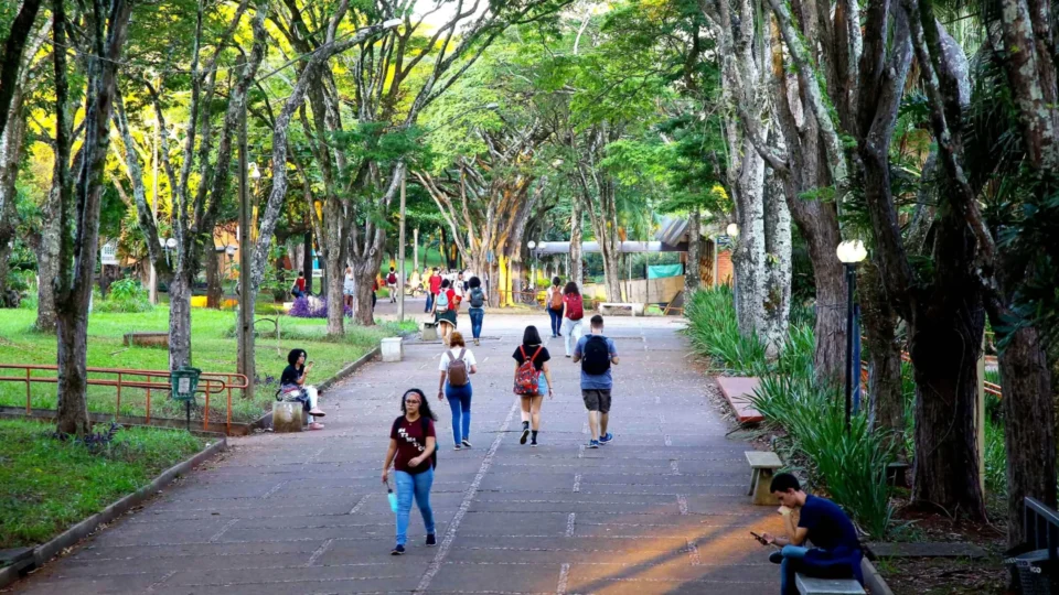 Inscrições para segundo semestre do Prouni começam nesta segunda (30); veja regras