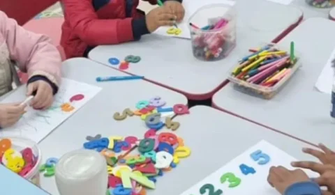 A educação face ao alarme ecológico