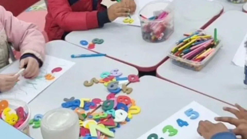 A educação face ao alarme ecológico