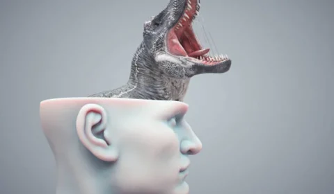 Permita que seu cérebro reptiliano funcione