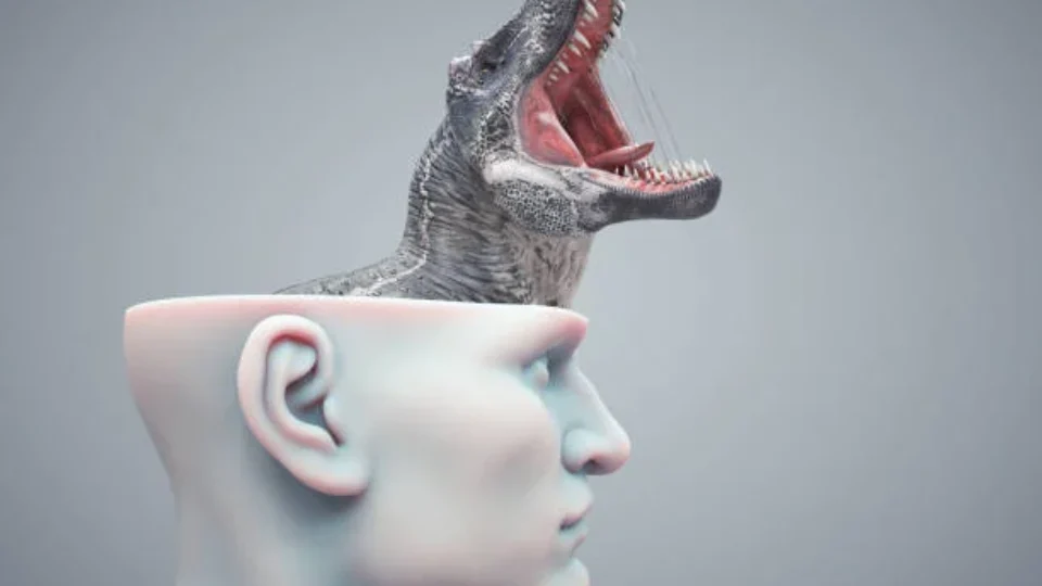 Permita que seu cérebro reptiliano funcione