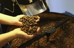 Exportações de café caem 17,5% em volume, mas receita aumenta em agosto