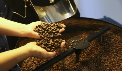 Exportadores cobram ações após promessa de Trump de cortar tarifas do café
