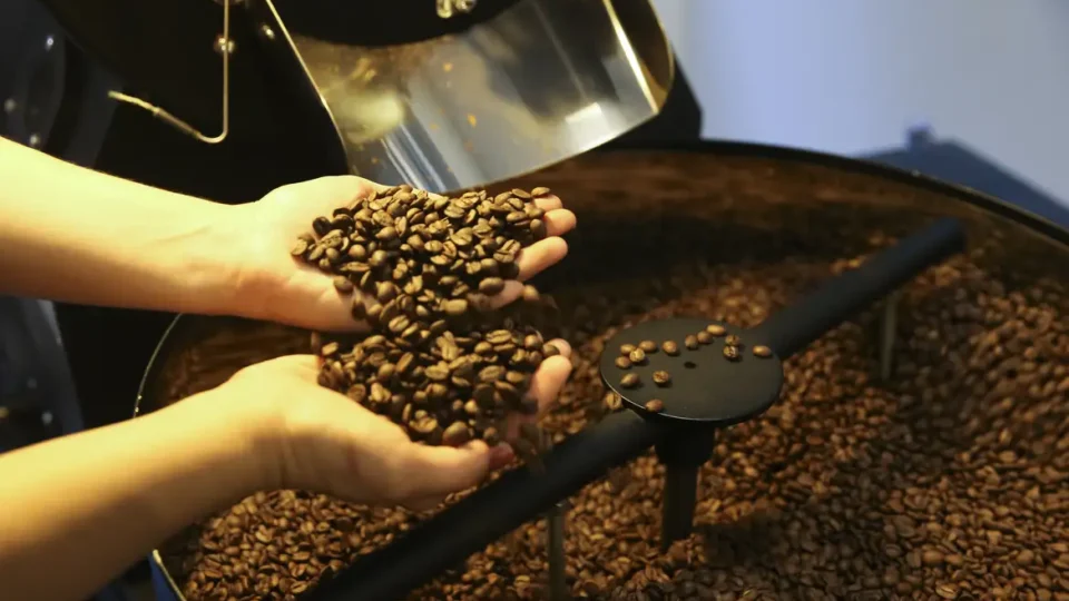 Governo estuda facilitar acesso ao crédito para produtores de café e combater inflação no setor