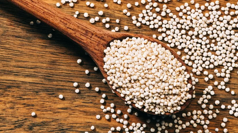 Alimentos