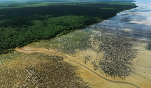 Ibama deve frustrar prazo de teste previsto pela Petrobras para explorar Foz do Amazonas