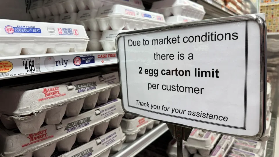 Com alta recorde no preço do ovo, americanos contrabandeiam produto no México