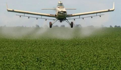 Mato Grosso reduz distância para uso de agrotóxico em propriedades perto de rios