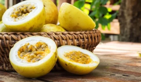 Fruta pode fornecer quase tanta proteína quanto os ovos; saiba qual
