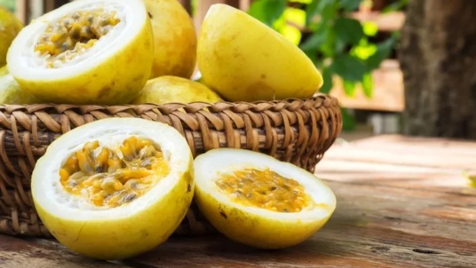 Fruta pode fornecer quase tanta proteína quanto os ovos; saiba qual