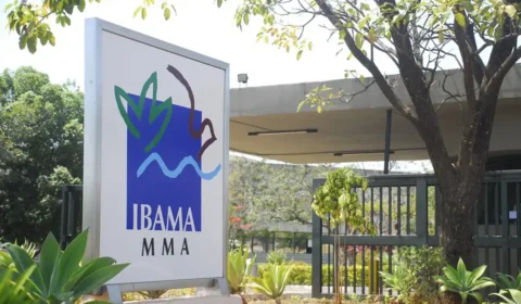 Ibama divulga locais de prova do concurso 2025 para 460 vagas